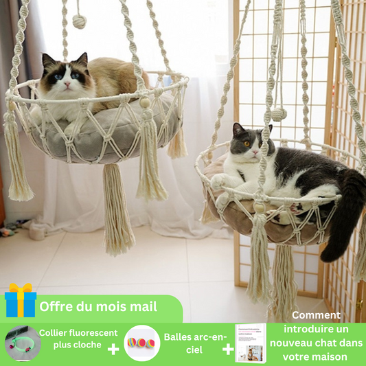 hamac pour chat |CATHAMMOCK™